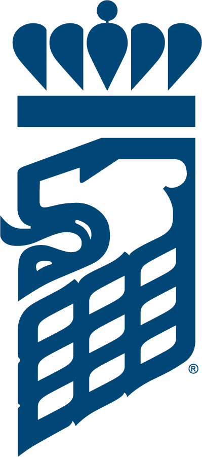 Old Dominion Monarchs 1986-2002 Secondary Logo diy iron on heat transfer